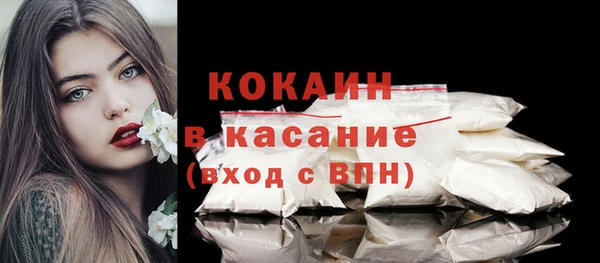 молекула духа Краснослободск