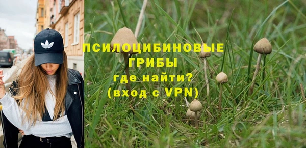 spice Кукмор