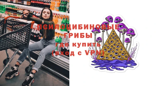 spice Кукмор