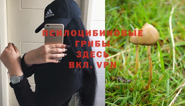 spice Кукмор