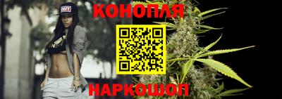 сатива Балаково