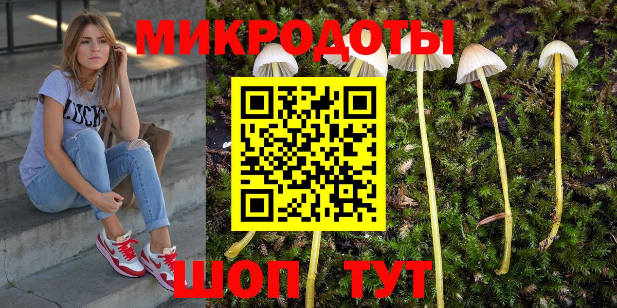 Псилоцибиновые грибы MAGIC MUSHROOMS  Псилоцибиновые грибы Psilocybe  Симферополь 