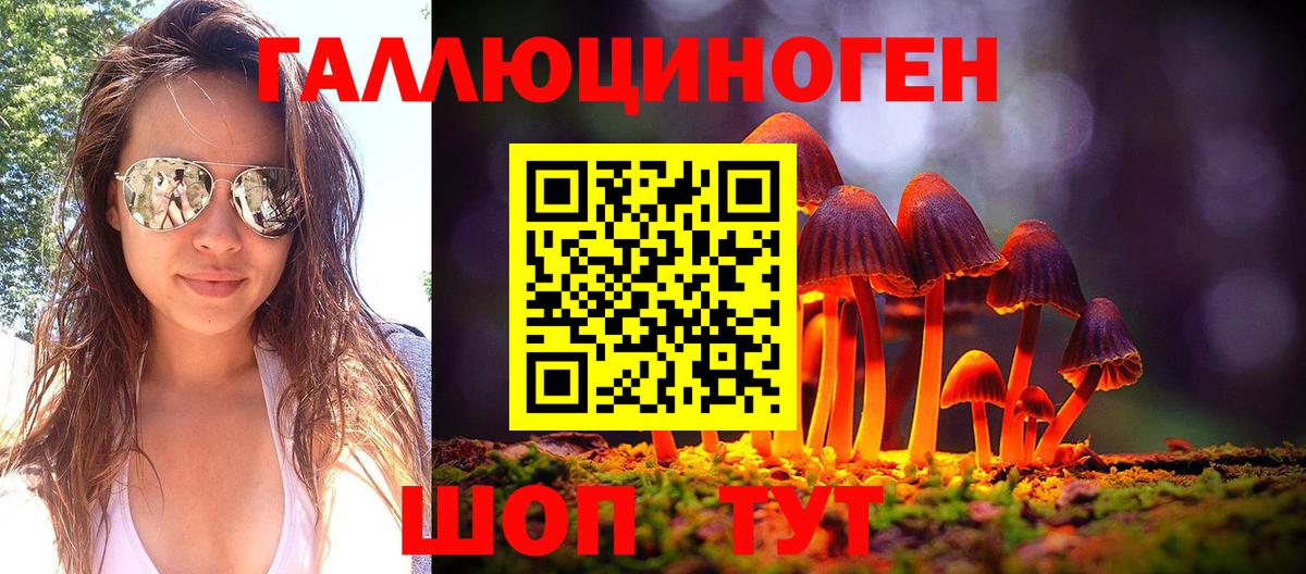 Псилоцибиновые грибы Psilocybe  Псилоцибиновые грибы GOLDEN TEACHER  Симферополь  Вход с VPN 