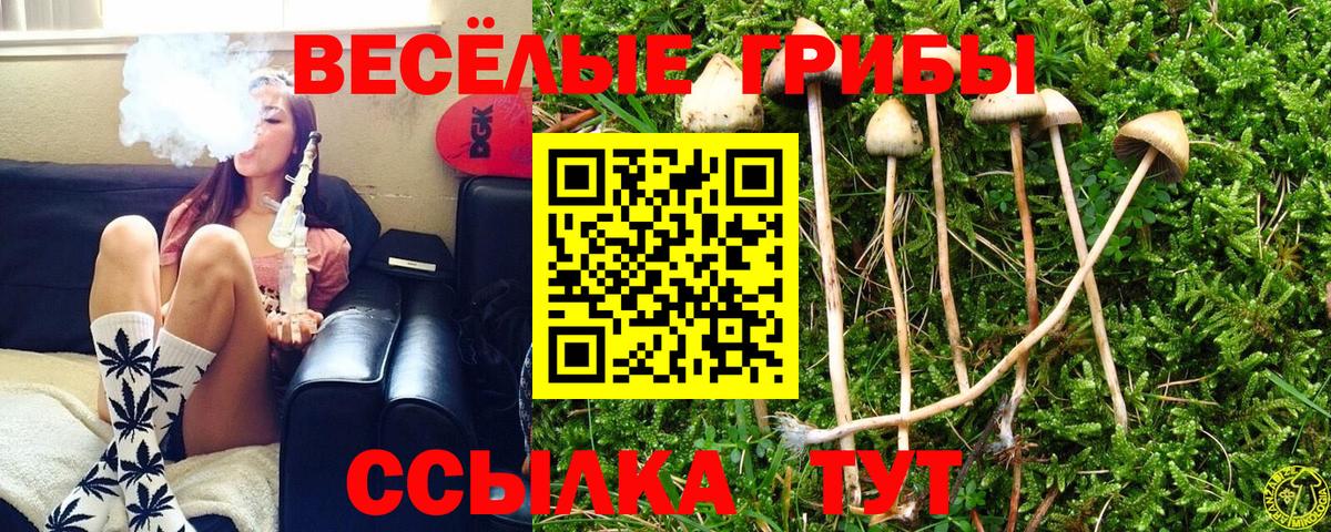 ЭКСТАЗИ  Симферополь  Кокаин  A-PVP СОЛЬ кристаллы  Мефедрон   Конопля  NBOMe  Гашиш  ГАШ  Купить закладку 