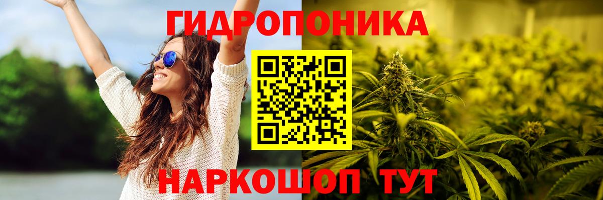 Шишки марихуана индика  Марихуана план  Симферополь  Шишки марихуана Amnesia 